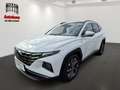 Hyundai TUCSON ALLRAD+PANODACH+KRELLSOUND+EL.HECKKL+NAVI+SITZHZG+ Wit - thumbnail 1