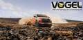 Isuzu D-Max Space Cab 4WD Autom. LS Rouge - thumbnail 1