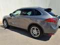 Porsche Cayenne PORSCHE Cayenne 3.6 V6 Platinum Edition Tiptronic 5p. Beige - thumbnail 7