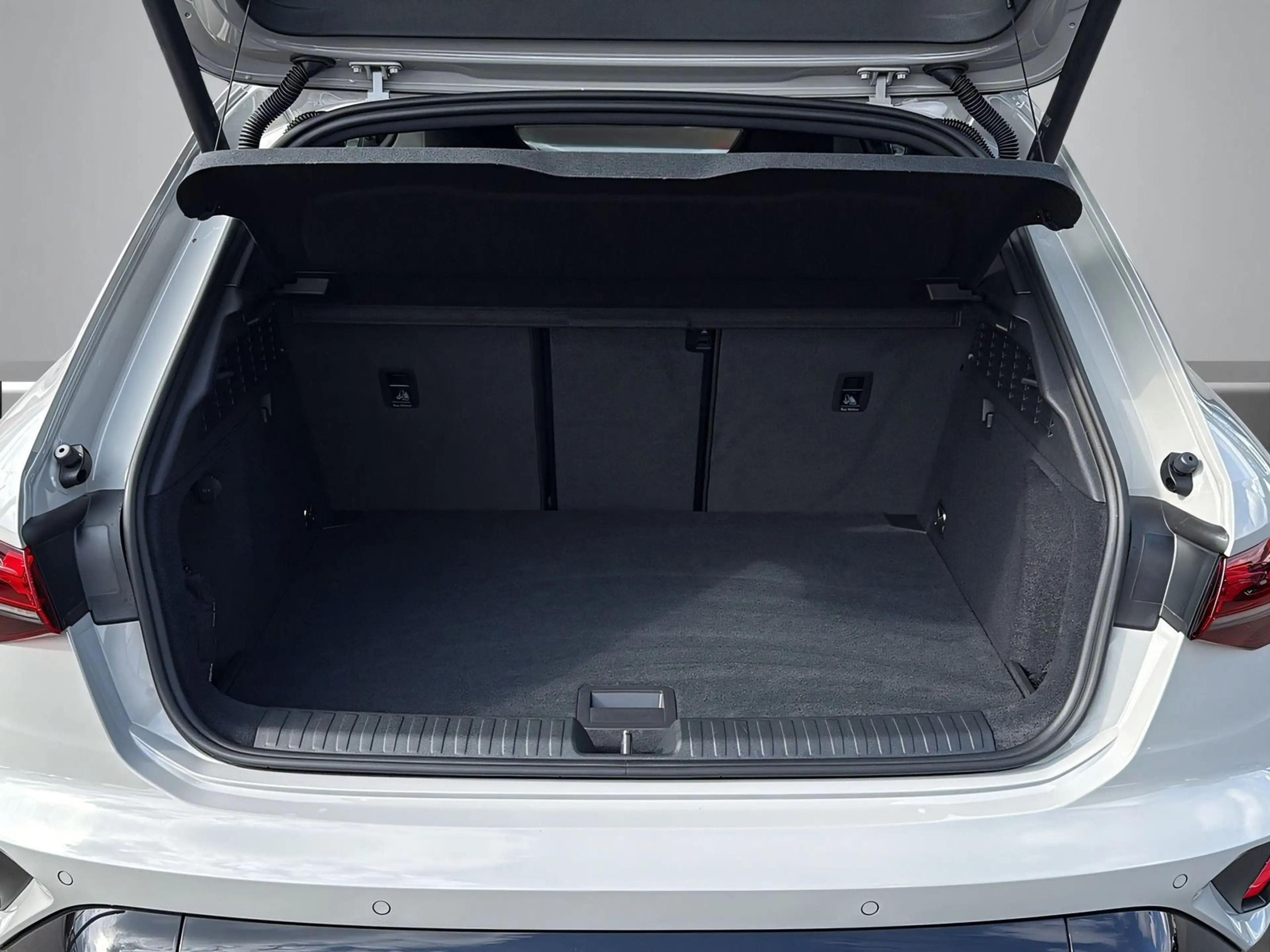 Audi RS3 SPORTABGAS+V-MAX+PANO+MATRIX+NAVI — photo 13