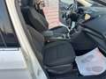 Ford Kuga Kuga 1.5 TDCI 120 CV S&S 2WD Business Bianco - thumbnail 26