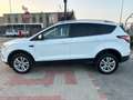 Ford Kuga Kuga 1.5 TDCI 120 CV S&S 2WD Business Bianco - thumbnail 3