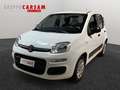 Fiat Panda Panda 1.2 Easy Wit - thumbnail 1