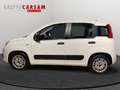 Fiat Panda Panda 1.2 Easy Wit - thumbnail 6