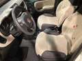 Fiat Panda Panda 1.2 Easy Wit - thumbnail 9