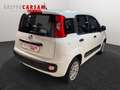 Fiat Panda Panda 1.2 Easy Wit - thumbnail 4