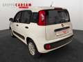 Fiat Panda Panda 1.2 Easy Wit - thumbnail 3
