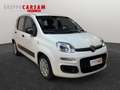 Fiat Panda Panda 1.2 Easy Wit - thumbnail 2