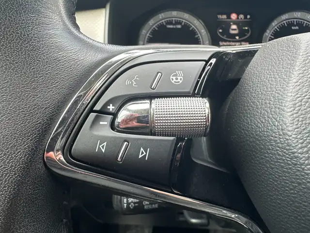 Skoda Kodiaq view 15