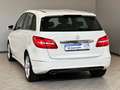 Mercedes-Benz B 200 /Automatik/Bi-Xenon/Kamera/Leder/Navi/ACC Blanc - thumbnail 20