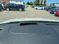 Skoda Octavia Combi 2,0 TDI Style DSG Weiß - thumbnail 41