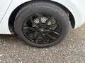Renault Clio Clio Evolution TCe 90 Evolution Weiß - thumbnail 11