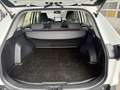 Toyota RAV 4 RAV4 2.5 Business Edition +Allwetter+TEMP+Kamera+ Bianco - thumbnail 15