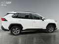 Toyota RAV 4 RAV4 2.5 Business Edition +Allwetter+TEMP+Kamera+ Bianco - thumbnail 7
