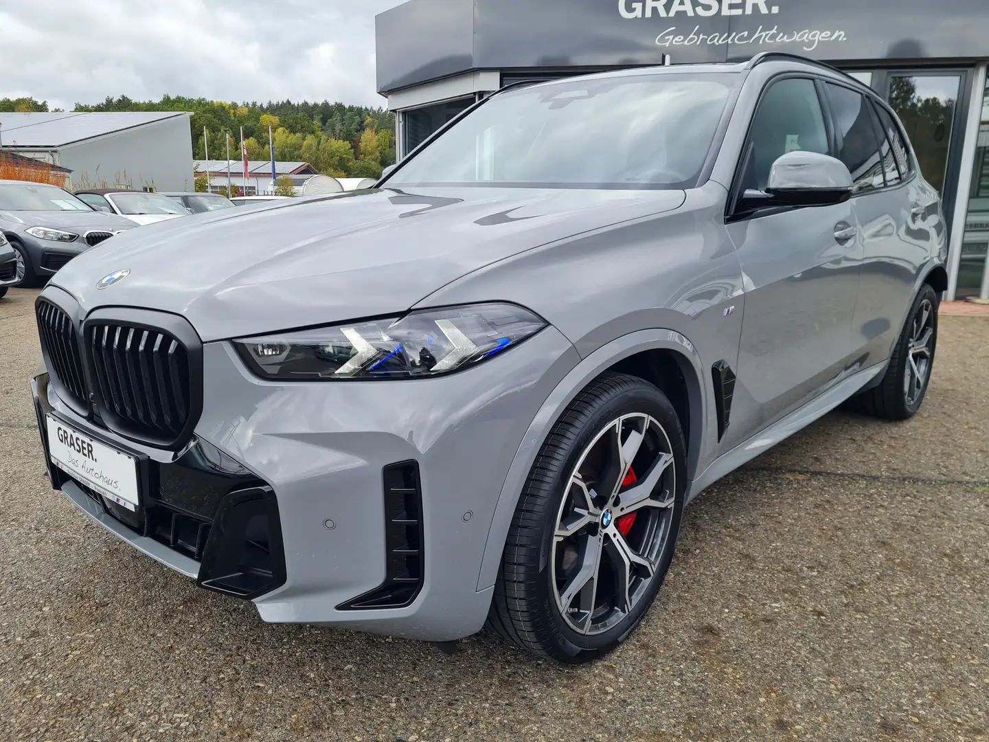 BMW X5 xDrive30d M SPORTPAKET INDUVIDUAL NARDOGRAU Grau - 1