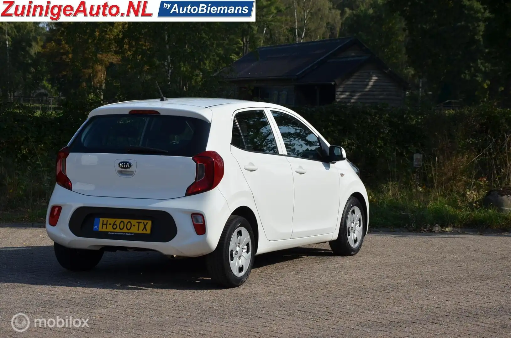 Kia Picanto 1.0i Comfort Airco 1e eign 61.000km Blanc - 2