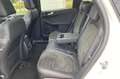Ford Kuga 2.5 PHEV ST-Line X Weiß - thumbnail 21