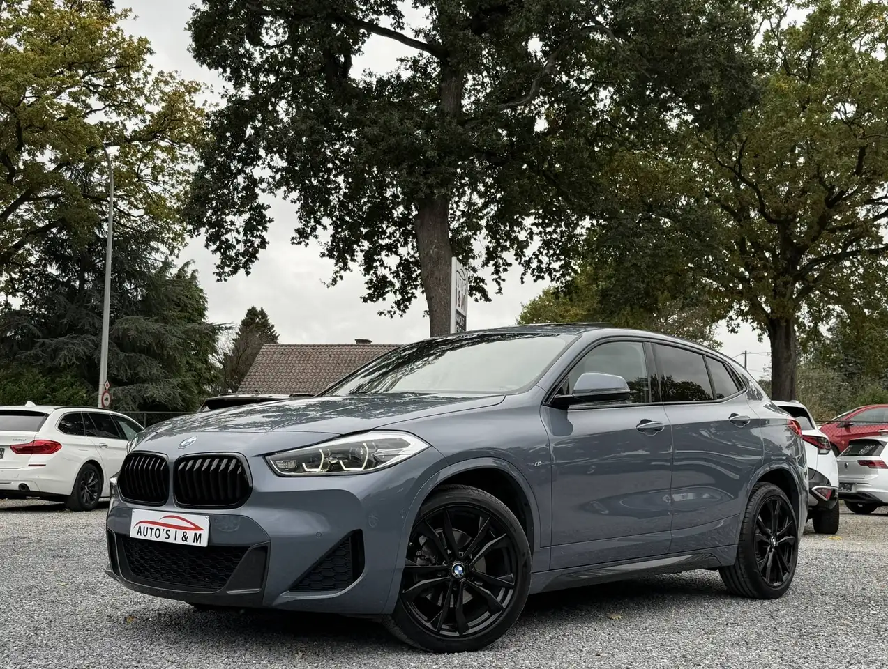 BMW X2
