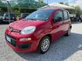Fiat Panda 1.3 mjt GANCIO TRAINO Rosso - thumbnail 1