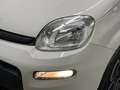 Fiat New Panda 1.0 Hybrid 70cv City Life Bianco - thumbnail 5