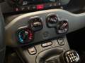 Fiat New Panda 1.0 Hybrid 70cv City Life Bianco - thumbnail 10