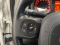 Fiat New Panda 1.0 Hybrid 70cv City Life Bianco - thumbnail 12