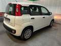 Fiat Panda Panda III 2021 1.0 firefly hybrid s Blanco - thumbnail 6