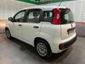 Fiat Panda Panda III 2021 1.0 firefly hybrid s Blanco - thumbnail 4