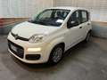 Fiat Panda Panda III 2021 1.0 firefly hybrid s Blanco - thumbnail 2