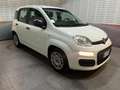 Fiat Panda Panda III 2021 1.0 firefly hybrid s Blanco - thumbnail 3