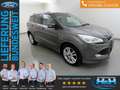 Ford Kuga 2.0 TDCi Individual AHK+Xenon+keyfree Grau - thumbnail 1