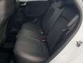 Ford Puma 1.0 EcoBoost Hybrid ST-LINE X PDC v+h, RFC Blanc - thumbnail 16