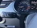 Skoda Octavia 4x4 Scout TDI DSG Nero - thumbnail 12