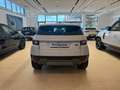 Land Rover Range Rover Evoque 5p 2.0 td4 SE 150cv auto White - thumbnail 4