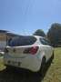Opel Corsa 5p 1.2 b-Color Gpl PERFETTA UNICO PROPIETARIO - thumbnail 1