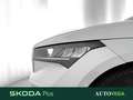 Skoda Enyaq iV 60 executive Wit - thumbnail 20