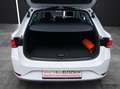 SEAT Leon ST TDI Style DSG LED Navi AID Pano GRA Park-Ass... Weiß - thumbnail 14