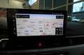 Audi A4 30 TDI Avant S-Tronic Business Advanced - ADAS/18" Rosso - thumbnail 24