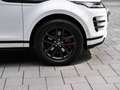 Land Rover Range Rover Evoque D200 Dynamic SE 2xKLIMA Weiß - thumbnail 19