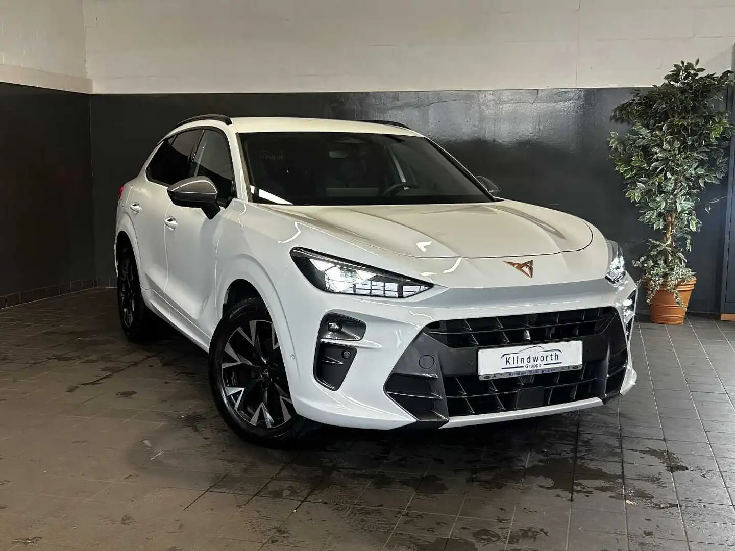 CUPRA Terramar 1.5 eTSI DSG +GJR+ACC+360° Blanc - 2