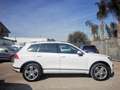 Volkswagen Touareg Touareg II  3.0 V6 tdi Executive 204cv tiptronic Blanc - thumbnail 4