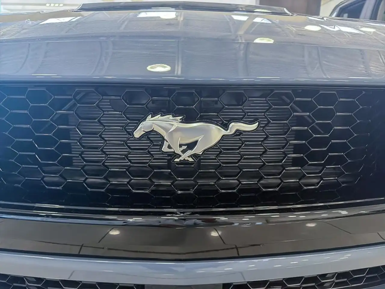 Ford Mustang снимка Ford Mustang