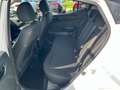 Hyundai i10 1,0 Level 2 Aut. Weiß - thumbnail 10