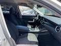 Alfa Romeo Stelvio Stelvio 2.2 t Business rwd 160cv auto my19 Gris - thumbnail 16