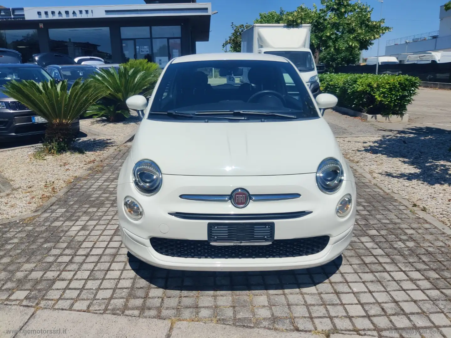 Fiat 500 1.0 Hybrid Cult Bianco - 2