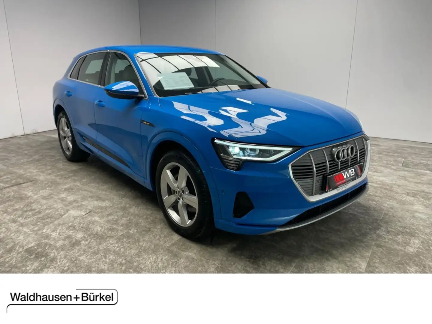 Audi e-tron 50 quattro advanced Klima Navi Leder Blauw - 1