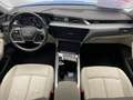 Audi e-tron 50 quattro advanced Klima Navi Leder Синій - thumbnail 5
