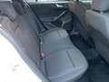 Ford Focus Turnier Titanium Pano iACC Kamera Navi PDC Blanc - thumbnail 10