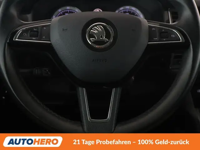 Skoda Kodiaq view 19