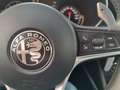 Alfa Romeo Stelvio 2.2 Executive RWD 180 Aut. Zwart - thumbnail 22